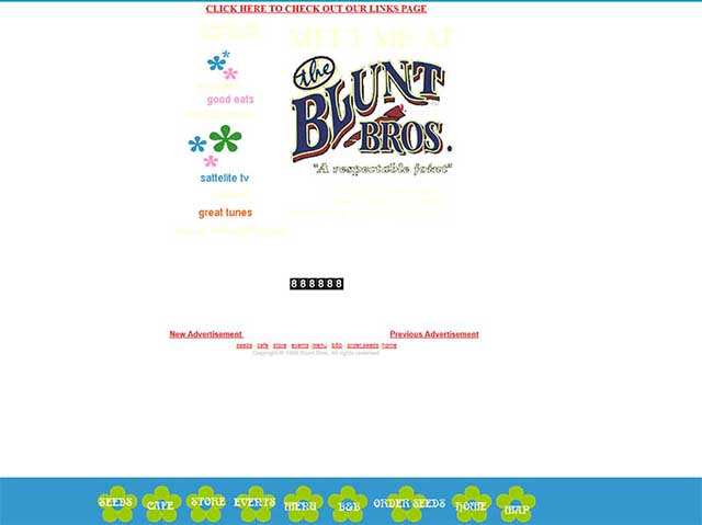  screenshot photo of Blunt Bros website from late 90's