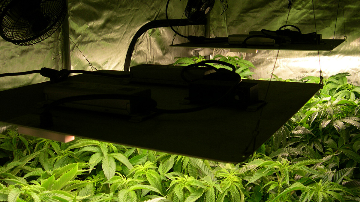 Image of light height