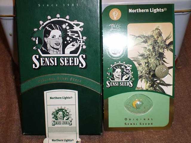 photo of Northern Lights seed pack from Sensi forum by Indica Lover