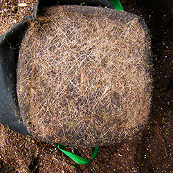 Bottom of fabric pot