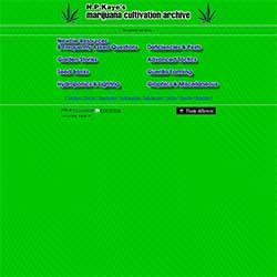 photo of NPKaye's very old website