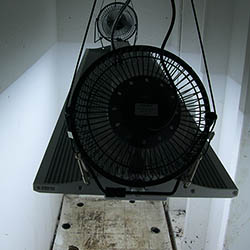 New Viparspectra XS4000 for the 5X2 grow closet